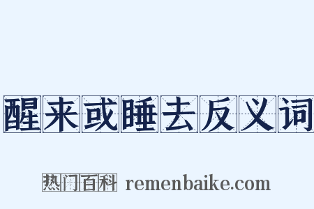 醒来或睡去反义词是什么意思的图片